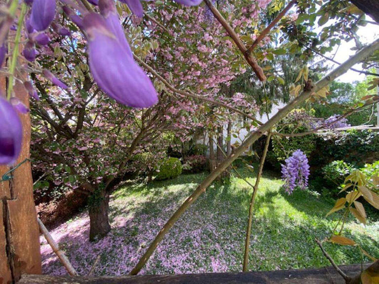 House La Celle-Saint-Cloud - 4 bedrooms