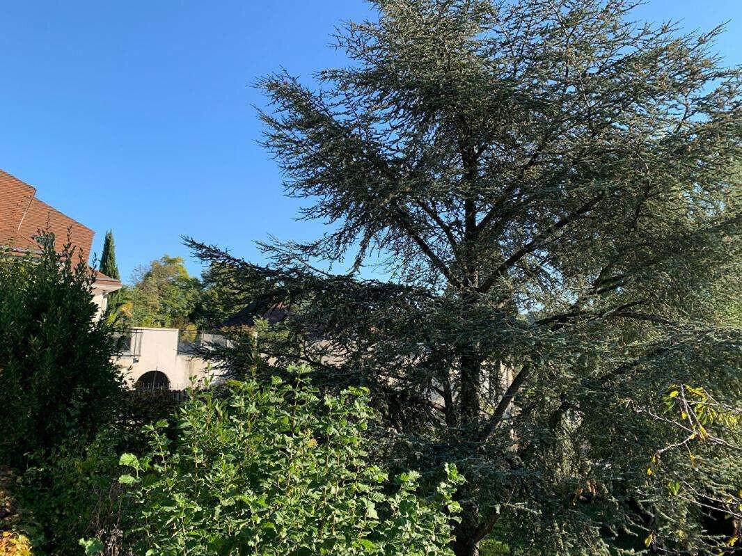 House La Celle-Saint-Cloud