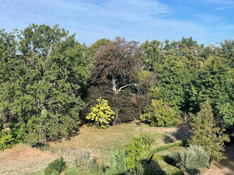Terrain La Celle-Saint-Cloud - 1253m²