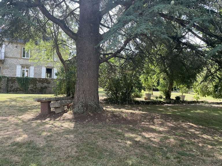 Maison La Chapelle-aux-Saints - 7 chambres - 415m²