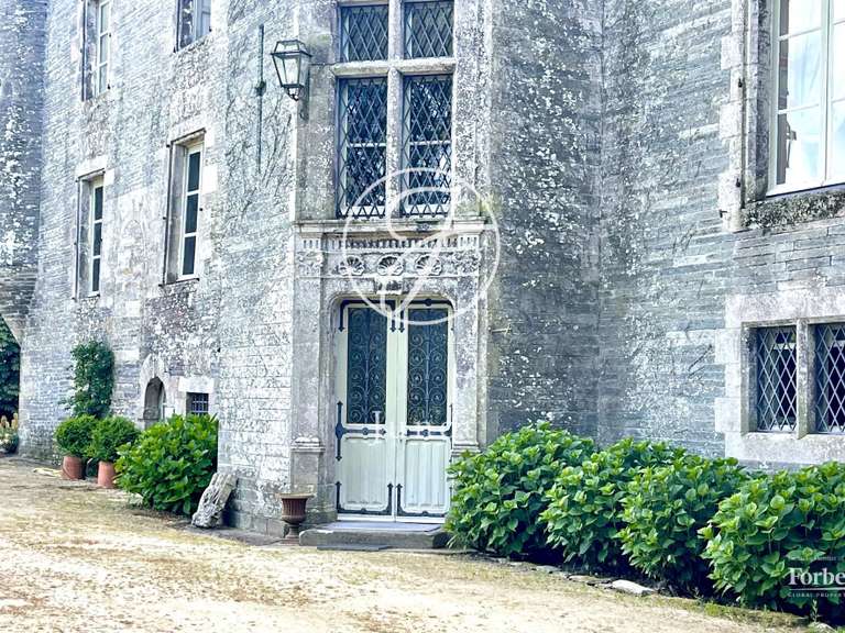 Château La Chapelle-Caro - 12 chambres - 800m²