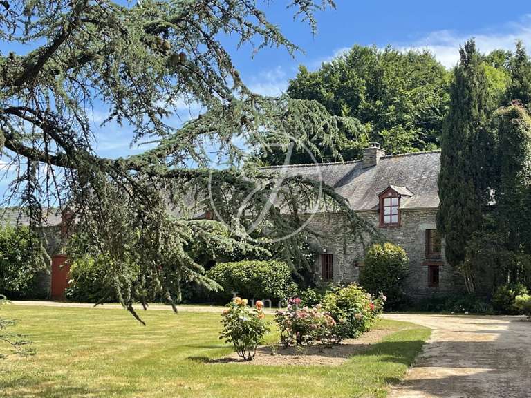 Château La Chapelle-Caro - 12 chambres - 800m²