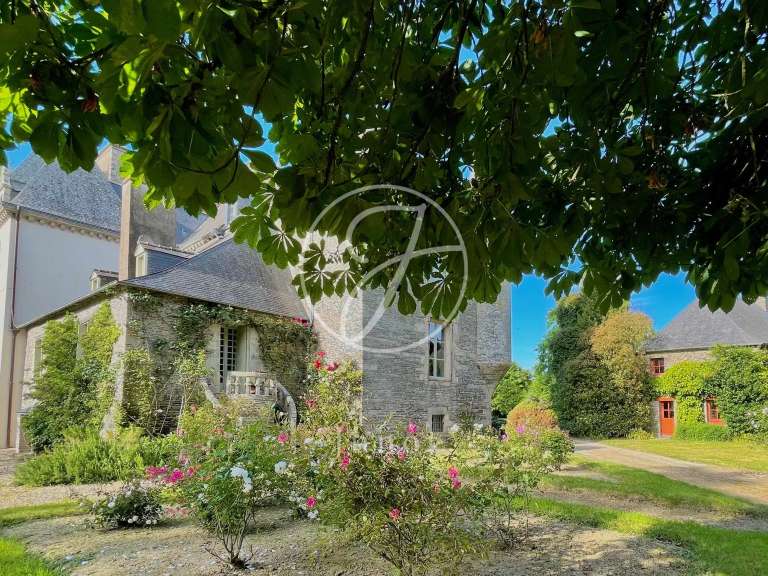 Château La Chapelle-Caro - 12 chambres - 800m²