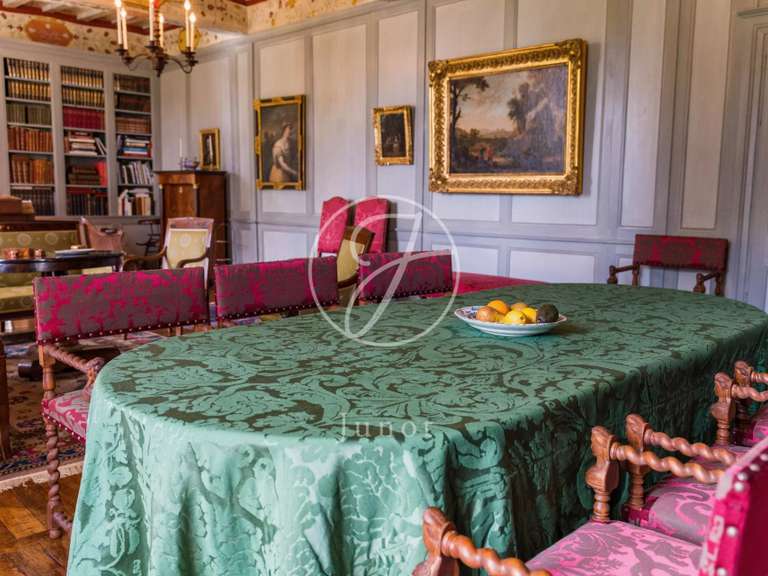 Château La Chapelle-Caro - 12 chambres - 800m²