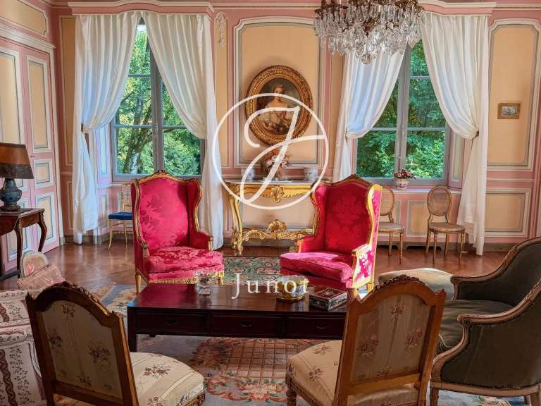 Castle La Chapelle-Caro - 12 bedrooms - 800m²