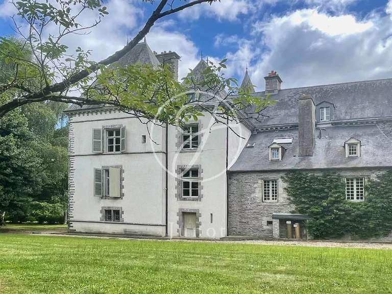 Château La Chapelle-Caro - 12 chambres - 800m²