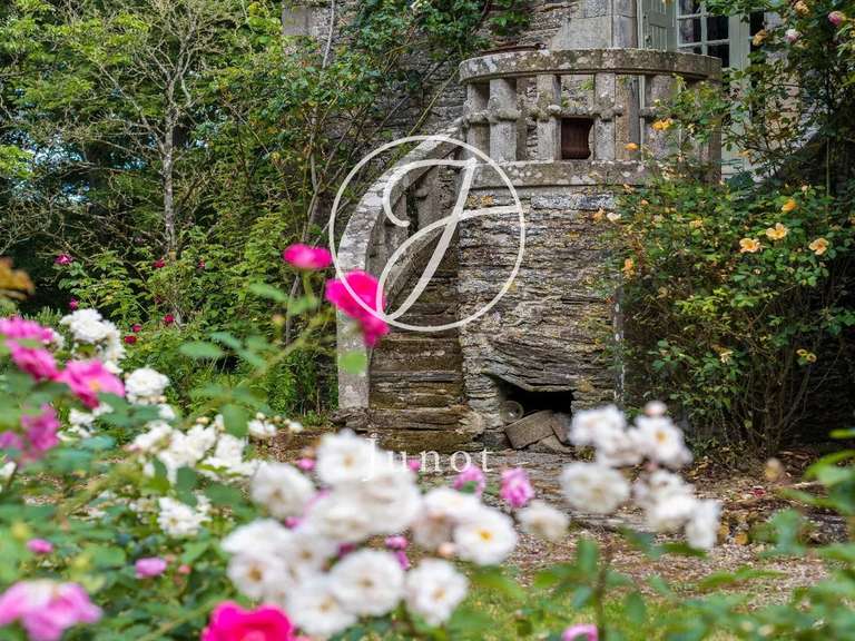 Château La Chapelle-Caro - 12 chambres - 800m²