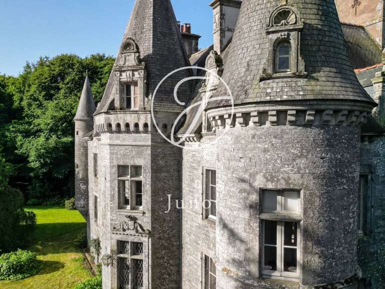 Castle La Chapelle-Caro - 12 bedrooms - 800m²
