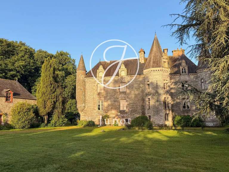 Castle La Chapelle-Caro - 12 bedrooms - 800m²