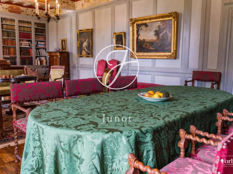 Château La Chapelle-Caro - 12 chambres - 800m²