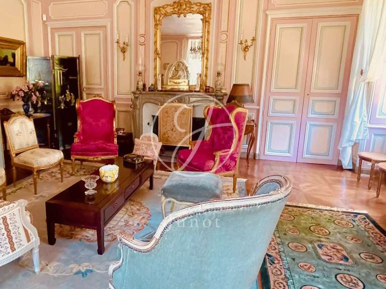 Château La Chapelle-Caro - 12 chambres - 800m²