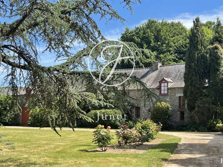 Château La Chapelle-Caro - 12 chambres - 800m²