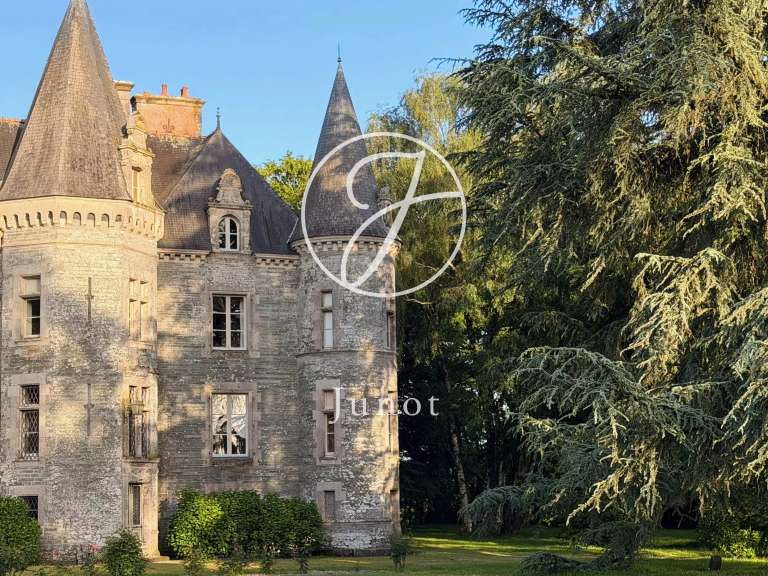 Castle La Chapelle-Caro - 12 bedrooms - 800m²