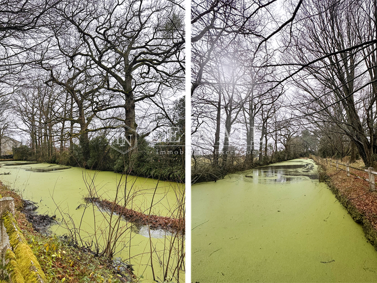 Maison La Chapelle-Heulin - 7 chambres - 277m²