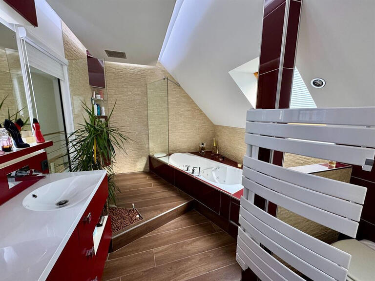 Maison La Chapelle-Saint-Mesmin - 4 chambres - 202m²