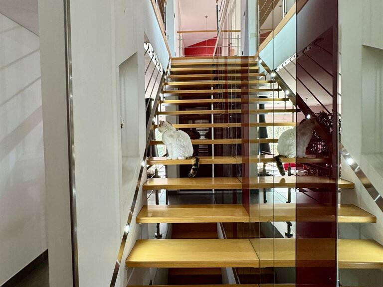 Maison La Chapelle-Saint-Mesmin - 4 chambres - 202m²