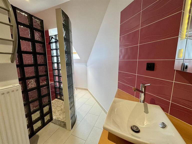 Maison La Chapelle-Saint-Mesmin - 4 chambres - 202m²