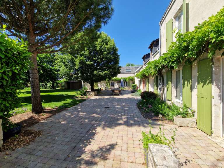 Maison La Chapelle-Saint-Mesmin - 5 chambres - 450m²