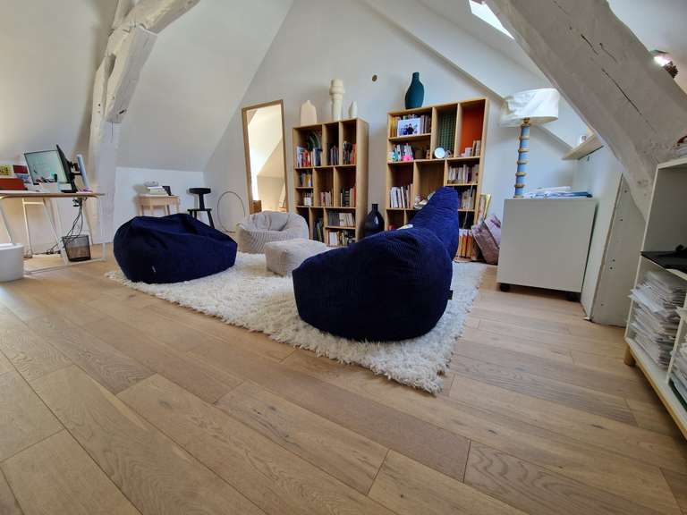 House La Chapelle-Saint-Mesmin - 5 bedrooms - 400m²