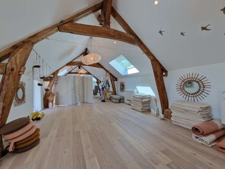 House La Chapelle-Saint-Mesmin - 5 bedrooms - 400m²