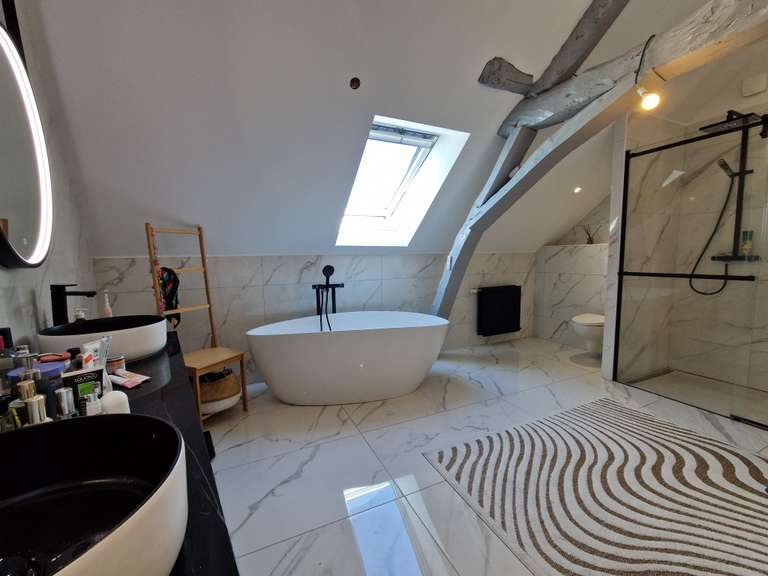 House La Chapelle-Saint-Mesmin - 5 bedrooms - 400m²