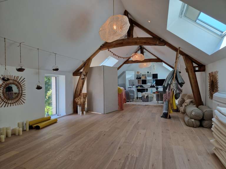 House La Chapelle-Saint-Mesmin - 5 bedrooms - 400m²