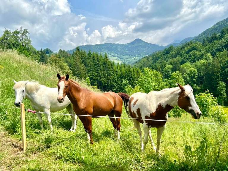 House La Clusaz - 279m²
