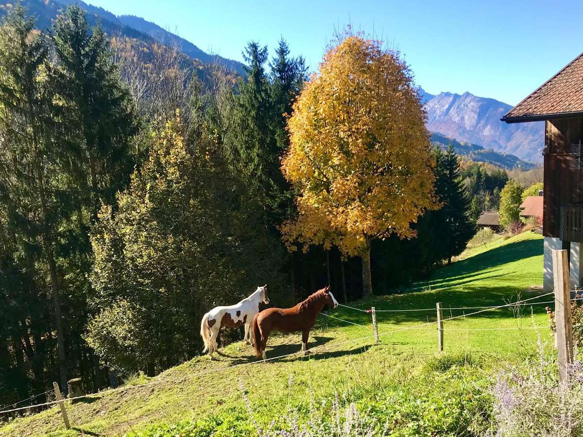 House La Clusaz