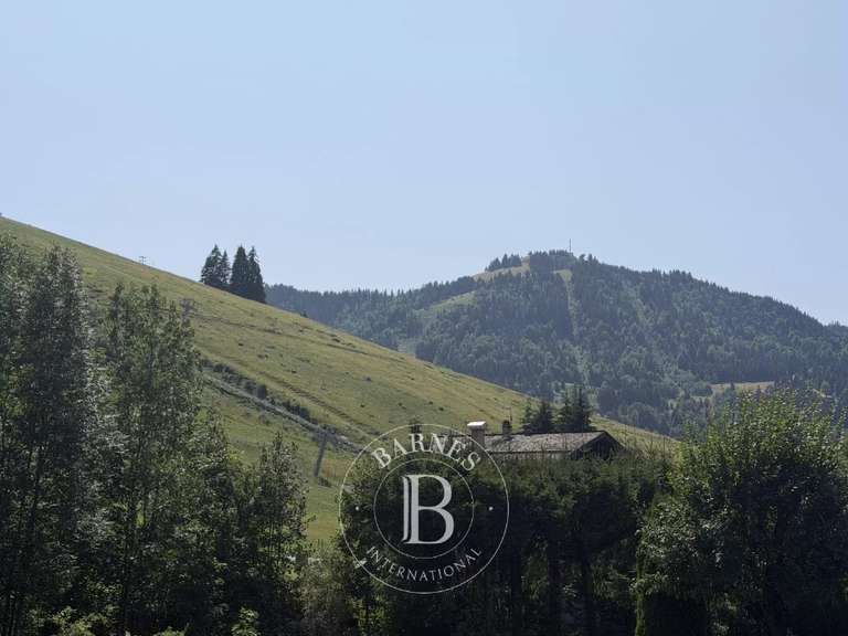 Terrain La Clusaz - 982m²