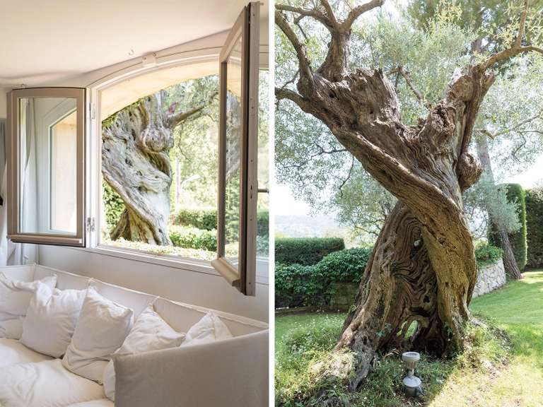 Maison La Colle-sur-Loup - 4 chambres - 215m²