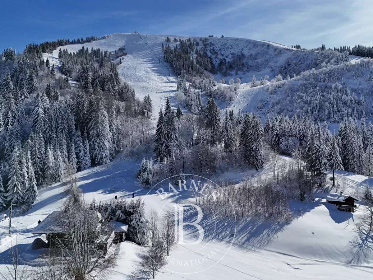 Chalet La Côte-d'Arbroz