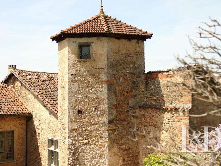 Maison La Côte-Saint-André - 439m²