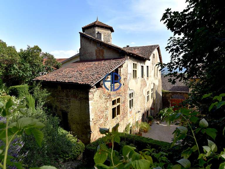 Propriété La Côte-Saint-André - 8 chambres - 638m²