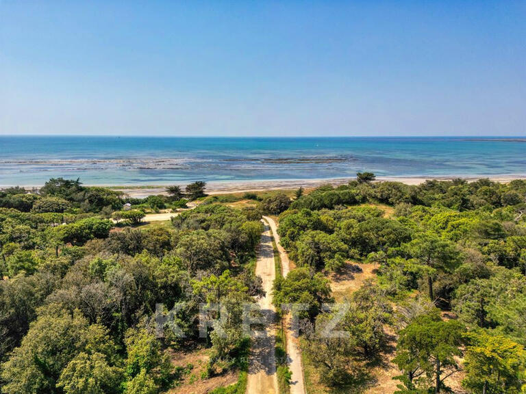 House La Couarde-sur-Mer - 13 bedrooms - 365m²