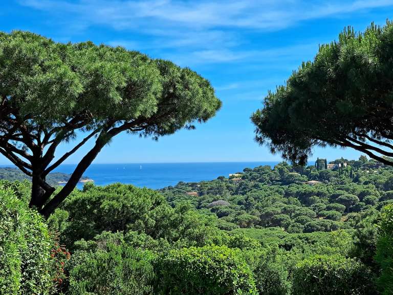 Villa avec Vue sur mer La Croix-Valmer - 4 chambres - 224m²