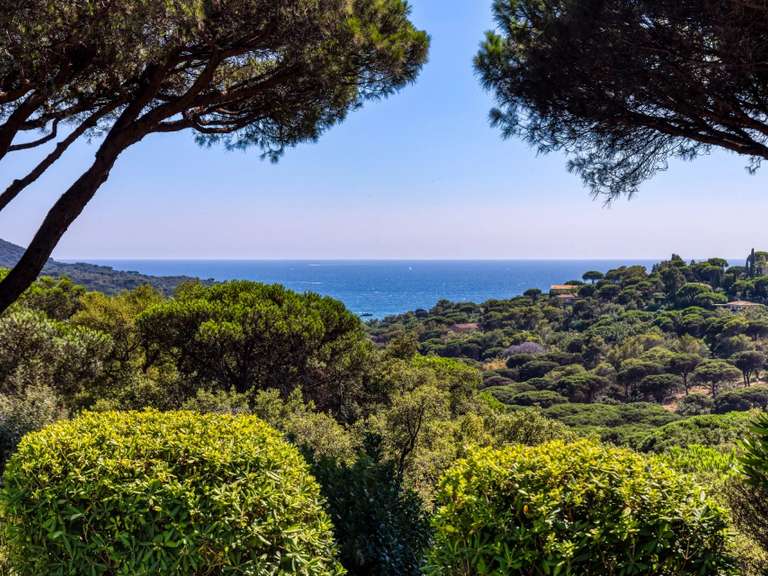 Villa avec Vue sur mer La Croix-Valmer - 4 chambres - 224m²