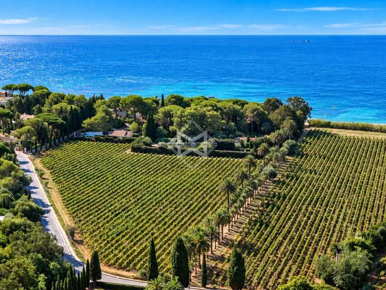 Villa La Croix-Valmer - 5 chambres - 230m²