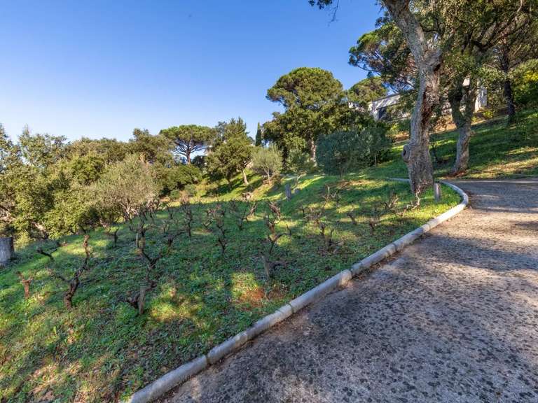 Villa with Sea view La Croix-Valmer - 6 bedrooms - 243m²