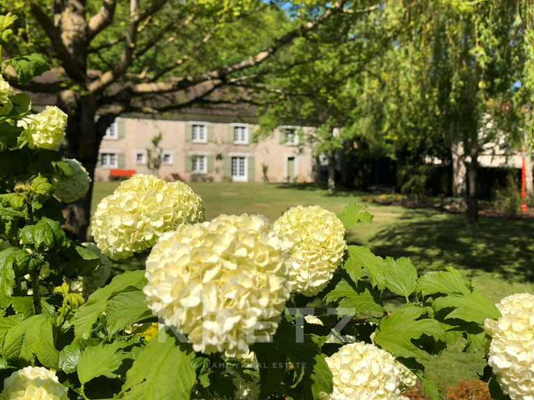 Maison La Falaise - 4 chambres - 491m²