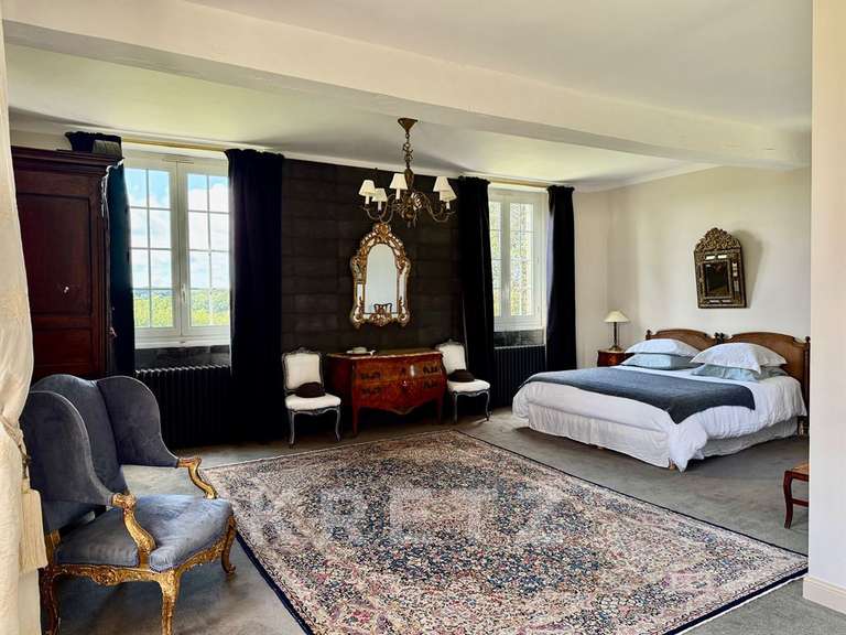 Manor La Ferté-Bernard - 12 bedrooms - 850m²