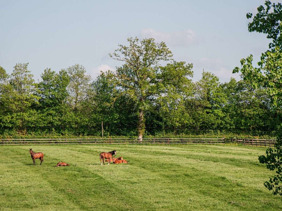 Maison La Ferté-Macé