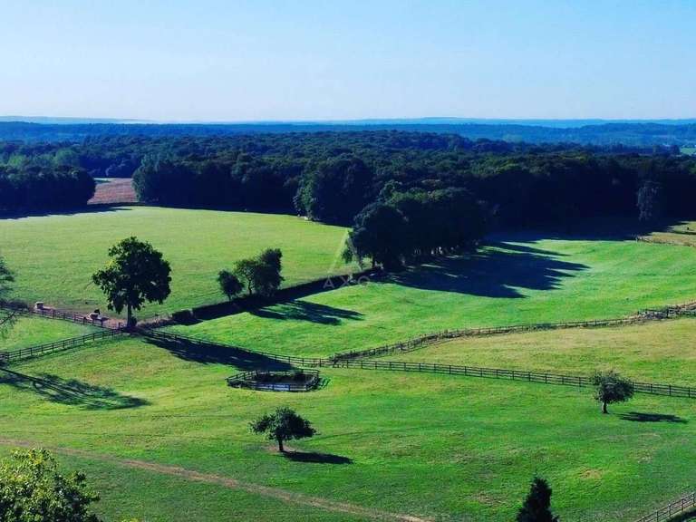 Maison La Ferté-Macé - 8 chambres