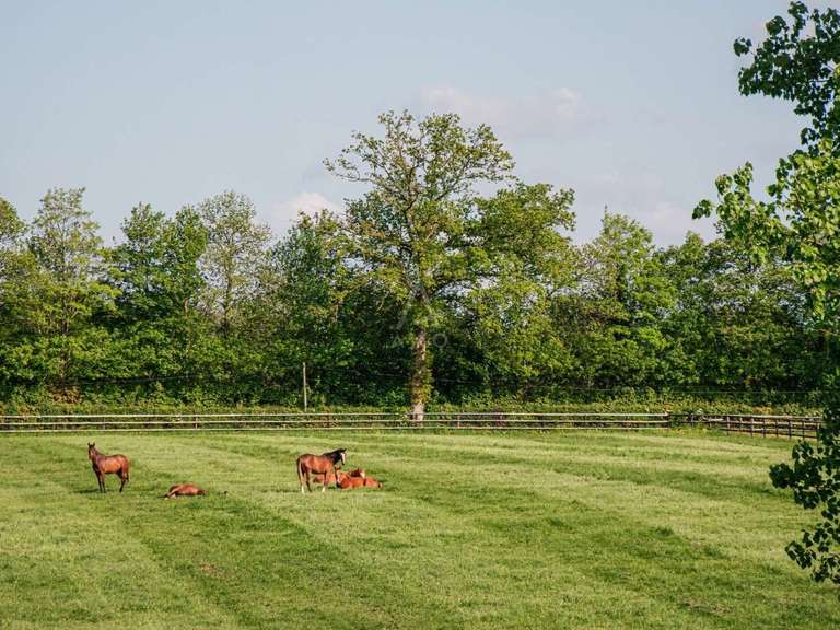 House La Ferté-Macé - 8 bedrooms
