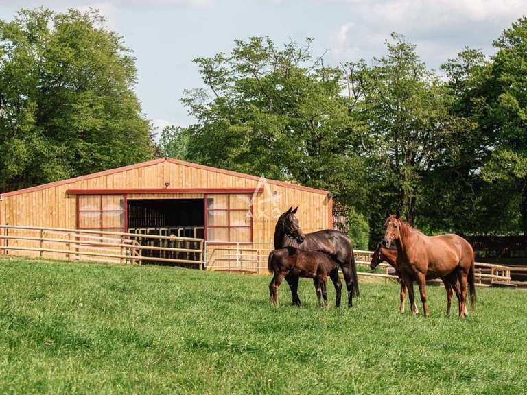 House La Ferté-Macé - 8 bedrooms