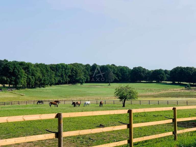 Maison La Ferté-Macé - 8 chambres