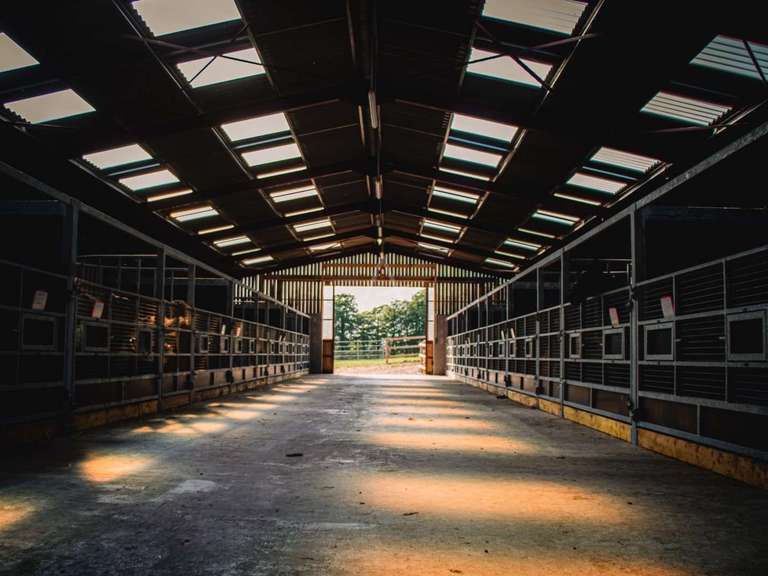 House La Ferté-Macé - 8 bedrooms