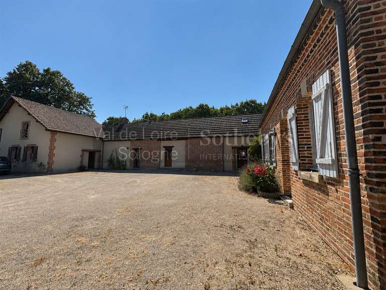 House La Ferté-Saint-Aubin - 7 bedrooms - 349m²