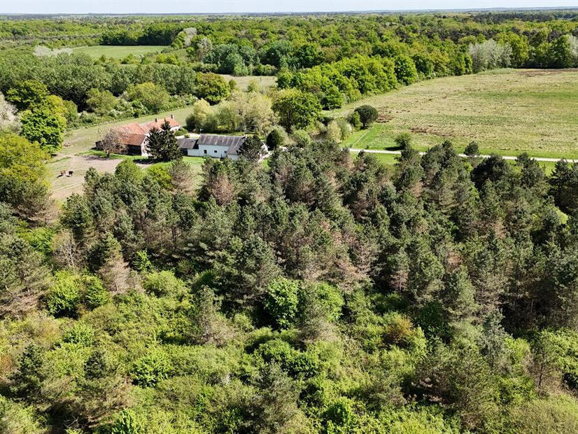 Maison La Ferté-Saint-Cyr