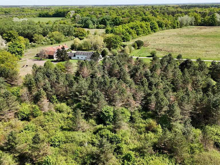 Maison La Ferté-Saint-Cyr - 4 chambres - 192m²