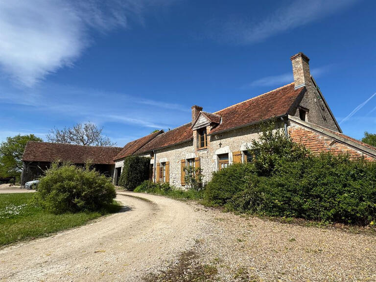 Maison La Ferté-Saint-Cyr - 4 chambres - 192m²
